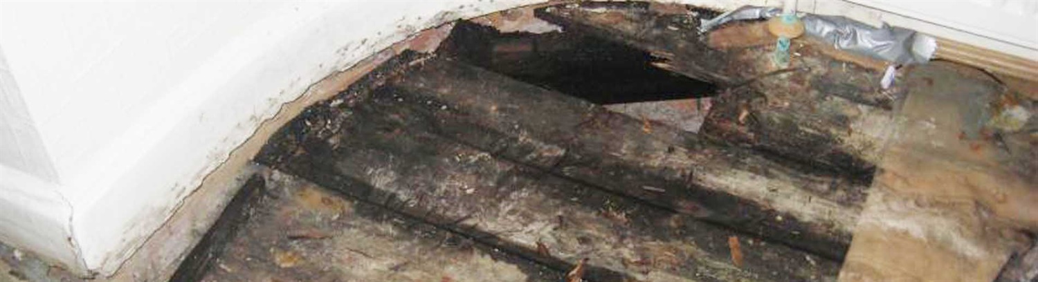 Wet rot - help and guidance - Property Care Association
